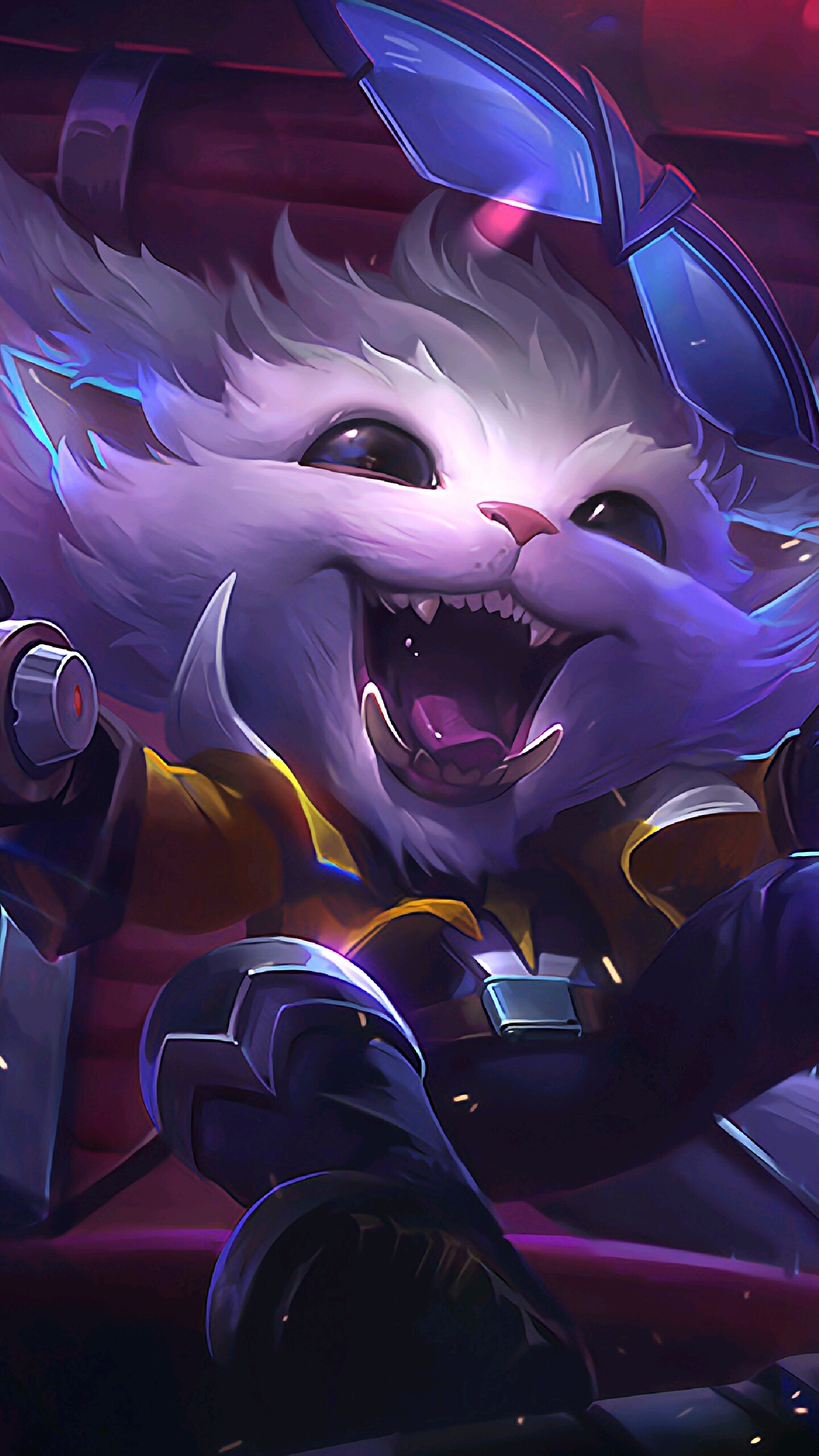 的实验框架 的实验框架